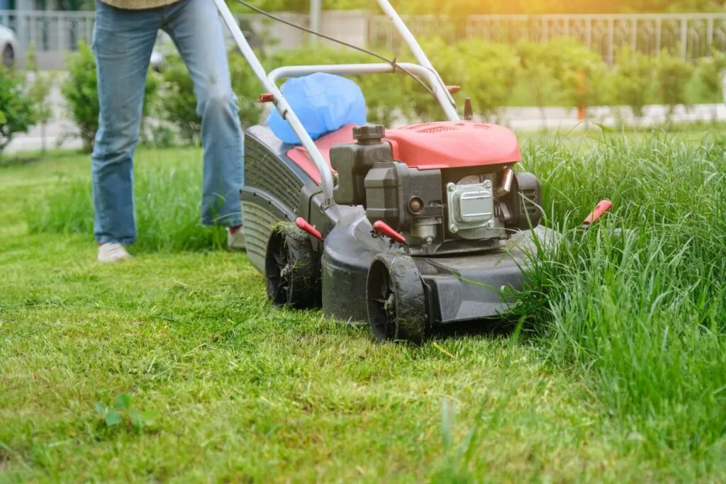 correct mowing height 1
