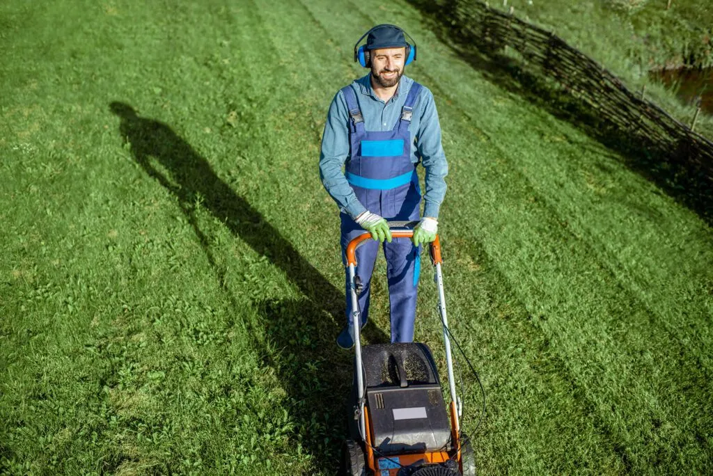 expert tips for enhanced lawn care