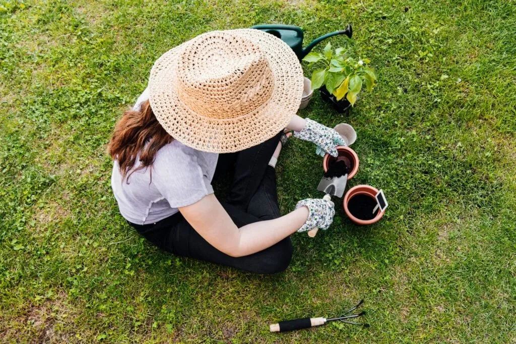 sustainable lawn care