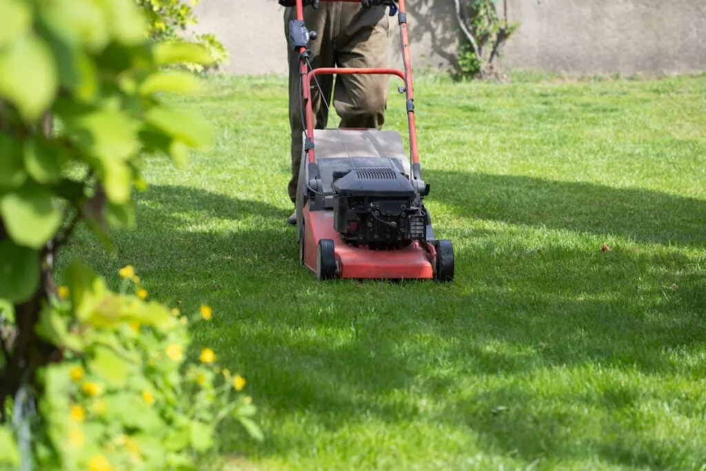 Mowing Frequency