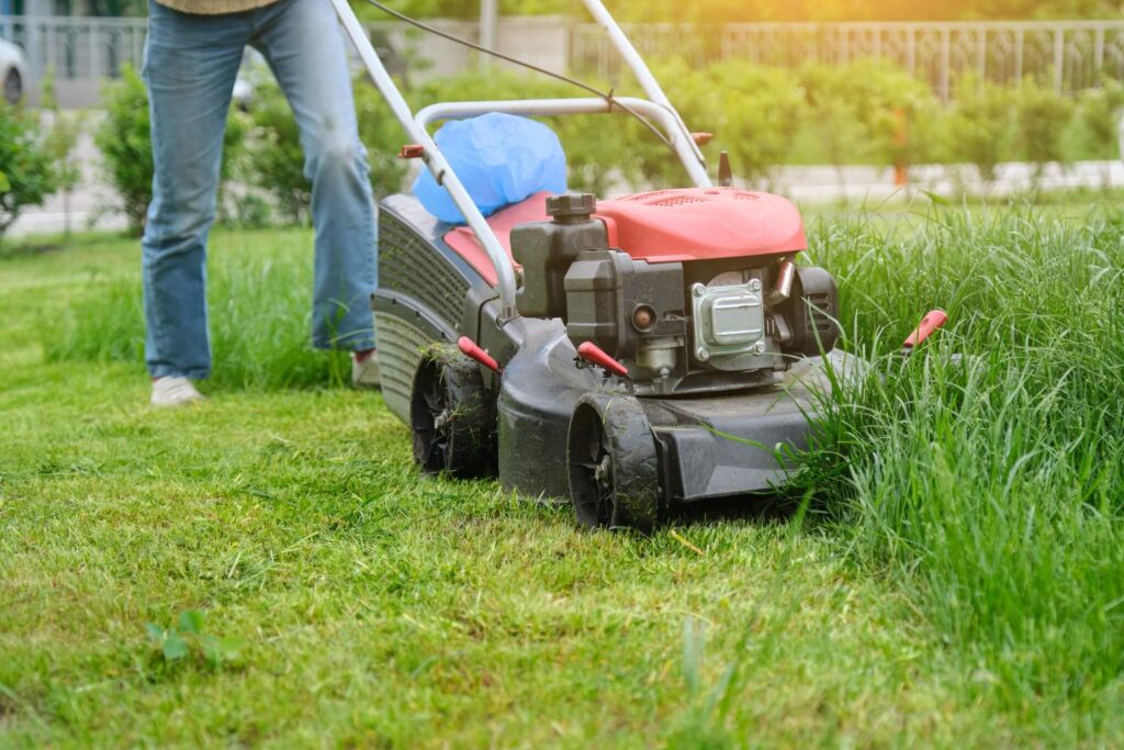 correct mowing height 1