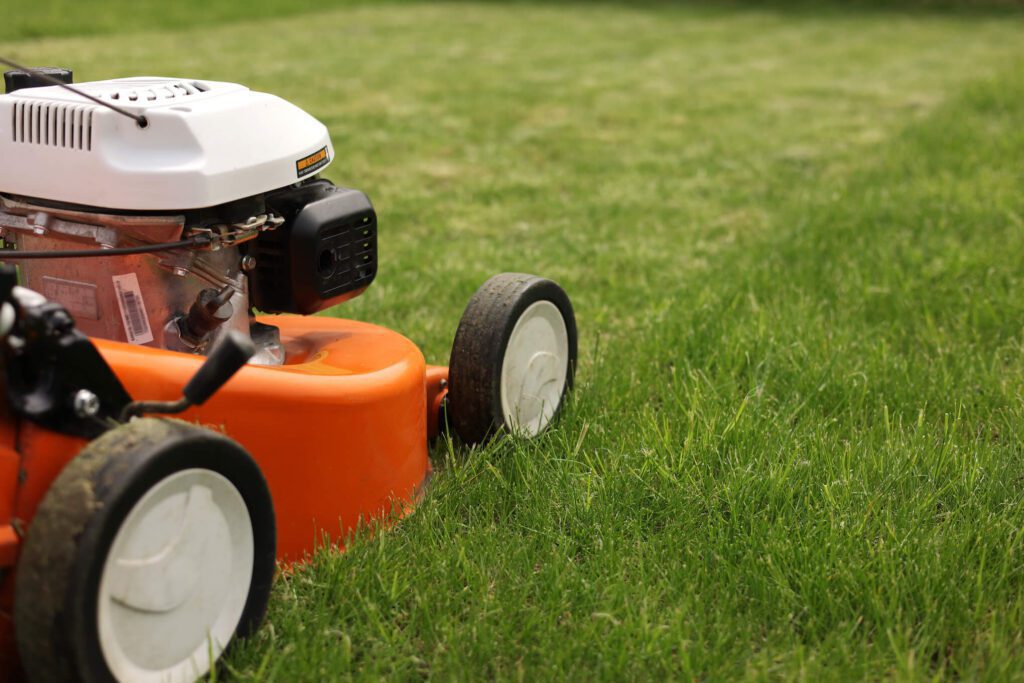 sustainability considerations