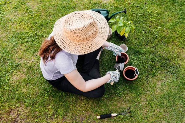 sustainable lawn care