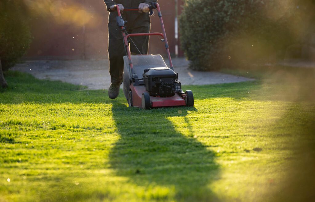 timing for mowing