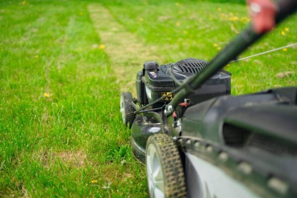 top lawn care tools you need