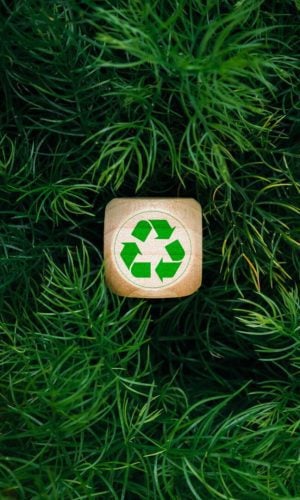 lawn care,lawn care services,lawn care newcastle,lawn mowing services,lawn mowing service near me,garden maintenance near me