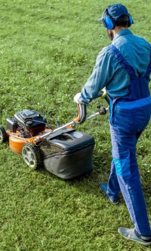 lawn care,lawn care services,lawn care newcastle,lawn mowing services,lawn mowing service near me,garden maintenance near me
